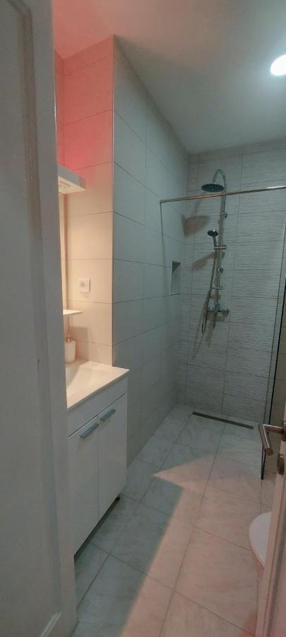 Zeleni Venac Studio & Apartment Belgrade Luaran gambar